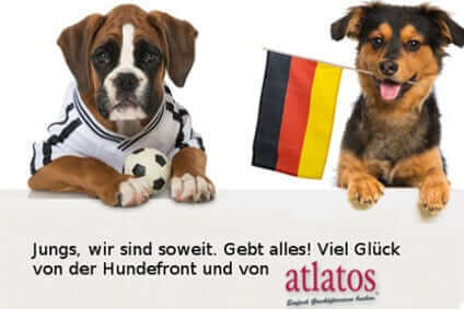 europa meisterschaft